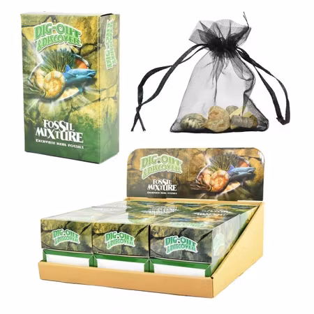 Dig It Out & Discover Fossils