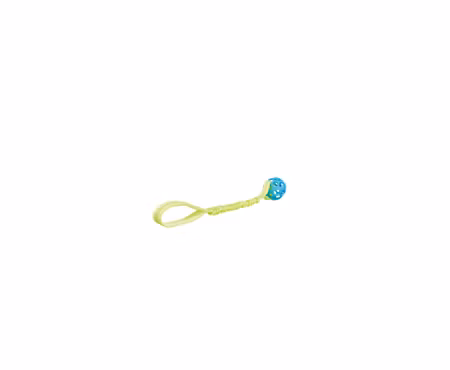 Bungee Tugger med boll, ø 9/48 cm, petrol/lime