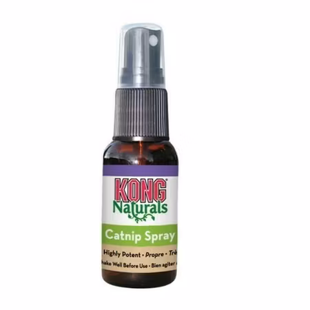 KONG Catnip Premium spray 30ml