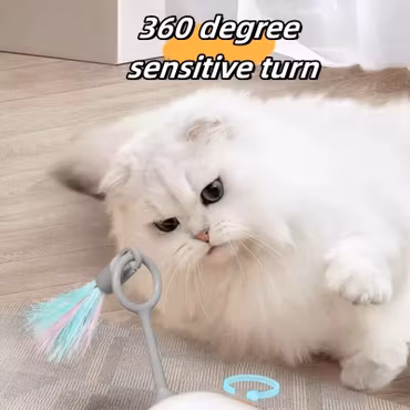 Turbo Roadster - Katt och Hundleksak