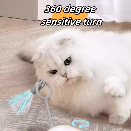 Turbo Roadster - Katt och Hundleksak