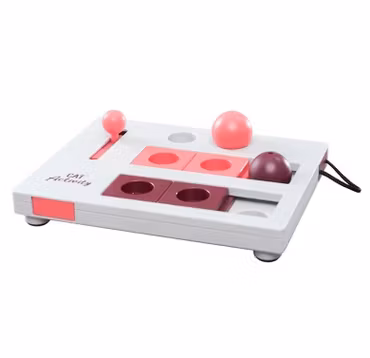 Cat Activity BrainMover