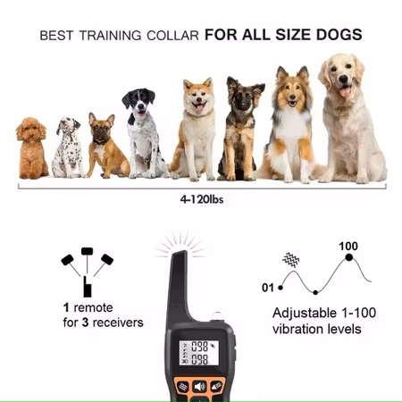 Hundtränings-Antiskällhalsband med fjärrkontroll