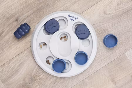 Dog Activity Flip & Fun