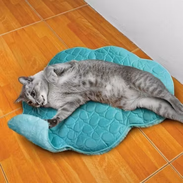 KONG Leksak Play Spaces Cloud Turkos 61cm