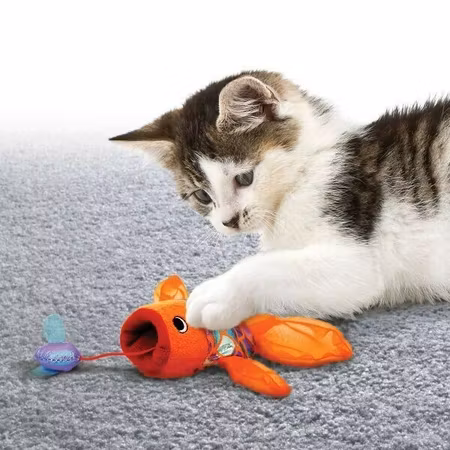 KONG Leksak Crackles Gulpz Orange 20cm