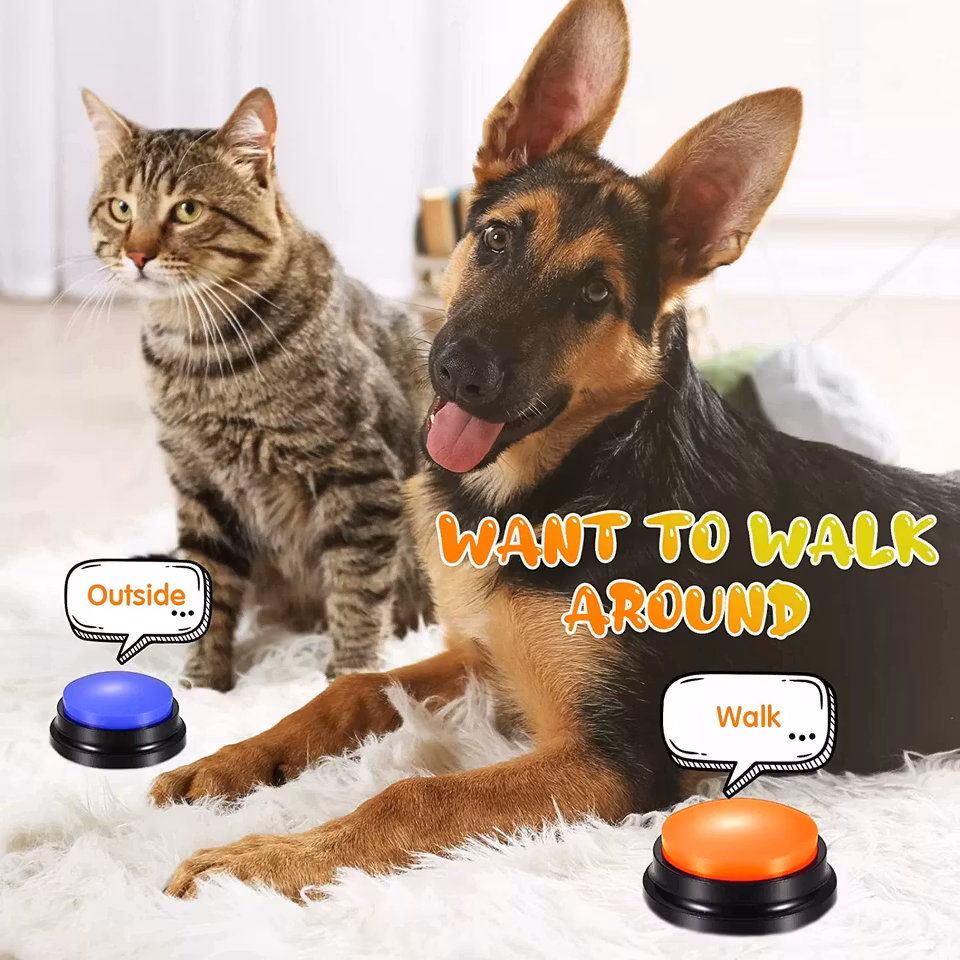 Talande knappar för din hund