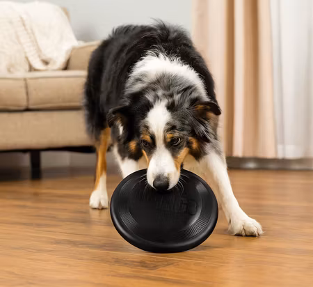 KONG Leksak Flyer Extreme Svart ø25cm