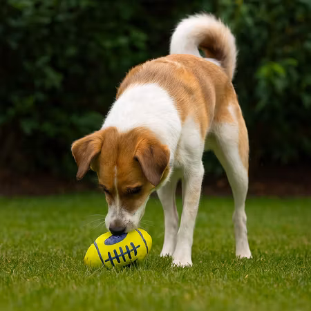 KONG Leksak AirDog Football Gul