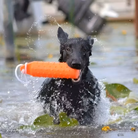 Leksak Dummie flytande Orange