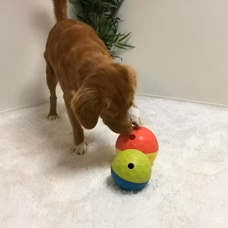 Nina Ottosson Aktiveringsleksak Tumble 1 Rosa L 13cm