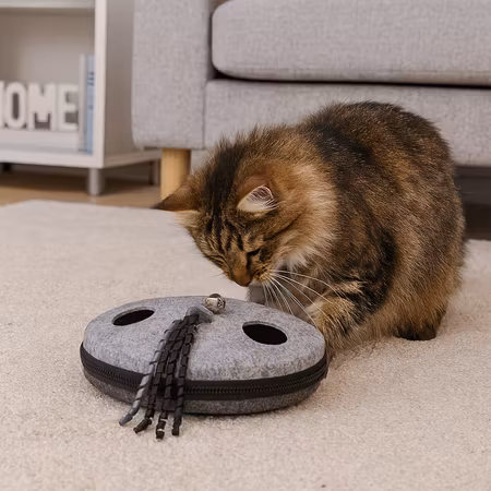 Kattleksak Wiggle & Fumble, filt, 23 cm