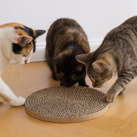 Utbyteswellpapp till #48021