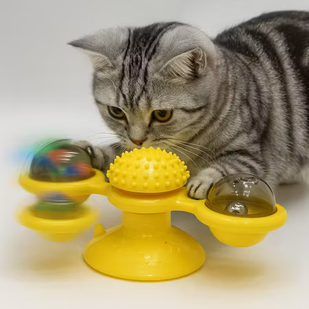 Kattleksak - Spinner