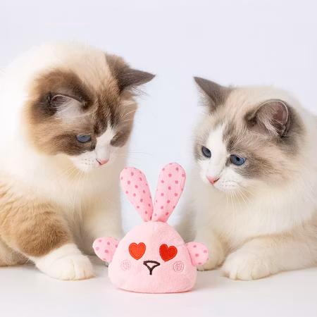 Kattleksak Valle Kanin Rosa