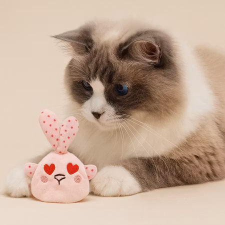 Kattleksak Valle Kanin Rosa