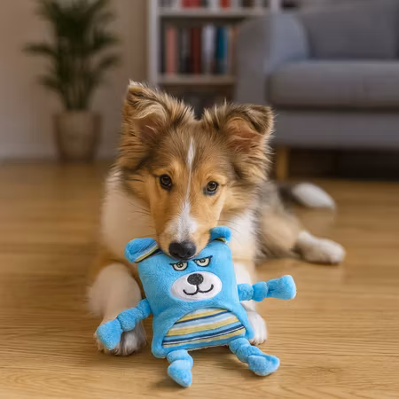 Leksak DoggePlutt Blå M 22cm