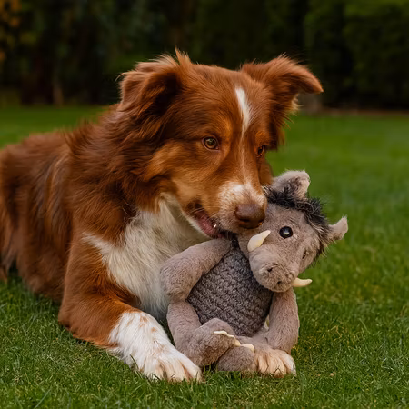 Leksak CozyBoar Grå L 35cm