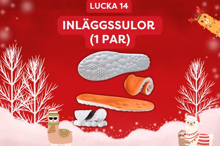 Inläggssulor (1 par)
