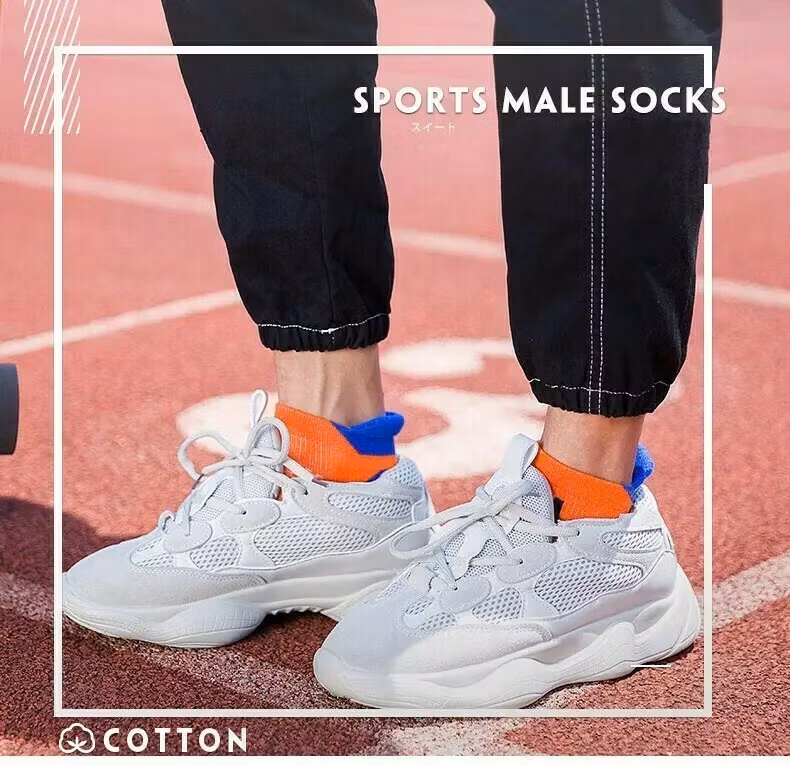 Ankelstrumpor Sport 5-Pack