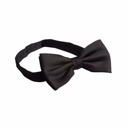 Svart färdigknuten fluga | Premier