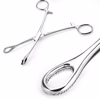 Standard Sponge Forceps