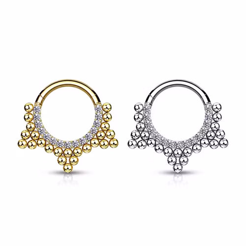 Septum segmentring med gångjärn 1.2mm med CZ och kluster