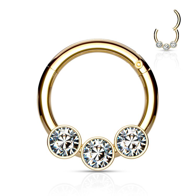 Septum segmentring med gångjärn 1.2mm och 3st crystals
