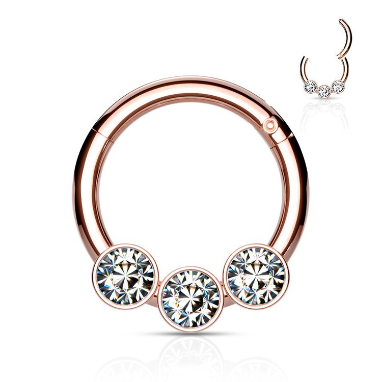 Septum segmentring med gångjärn 1.2mm och 3st crystals