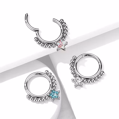 Septum segmentring med gångjärn 1.2mm och stjärnformad CZ