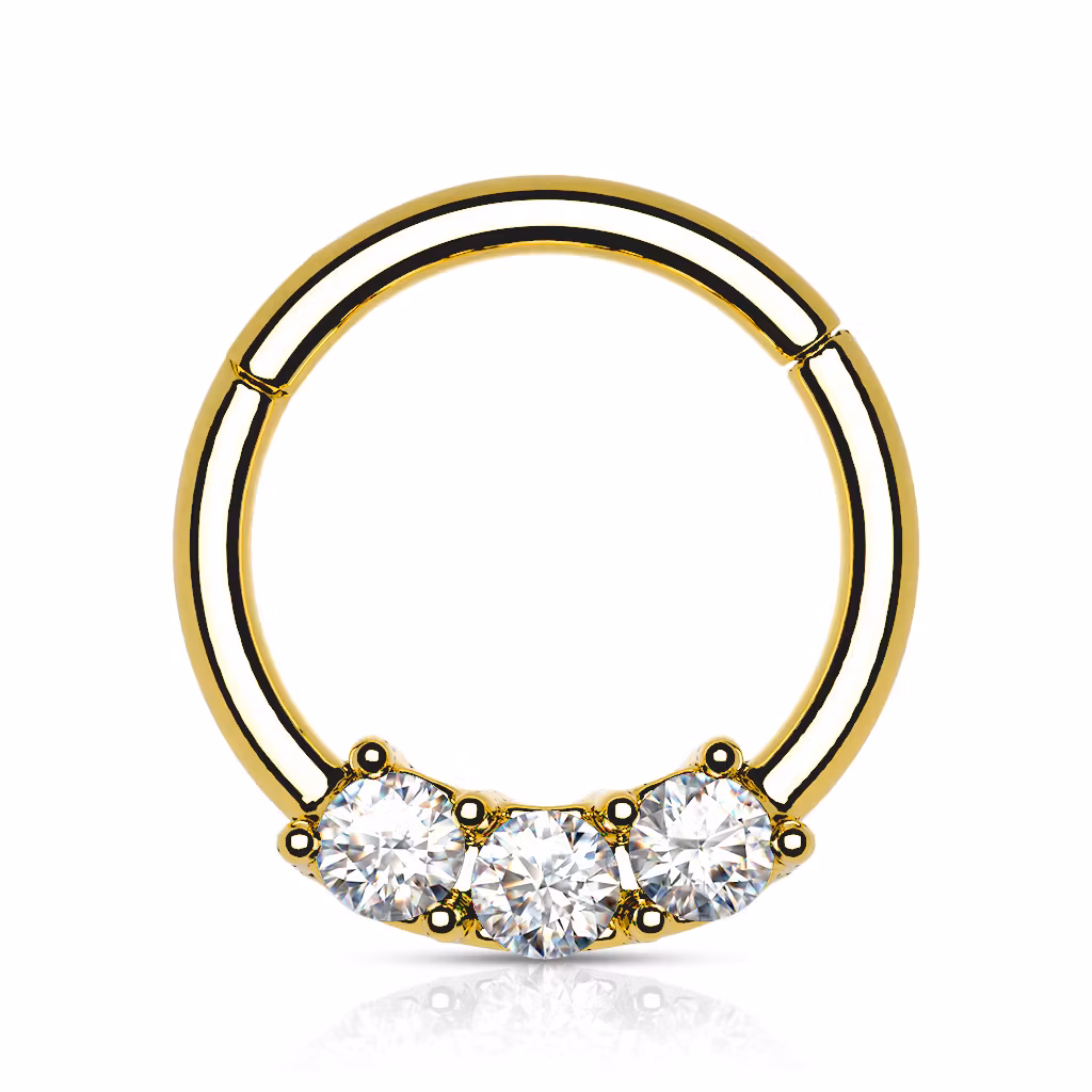 Segmentring i titanium - 1.2mm med gångjärn och 3st cubic zirconia