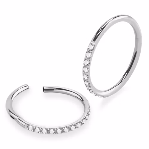 Segmentring 1.0mm med gångjärn och CZ stenar på ytterkanten