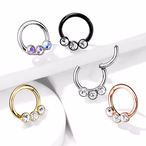 Septum segmentring med gångjärn 1.2mm och 3st crystals