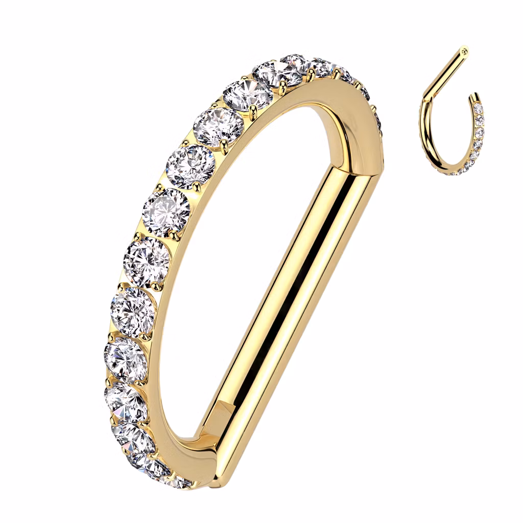 D-formad segmentring 1.2mm i titanium med gångjärn och cubic zirconia