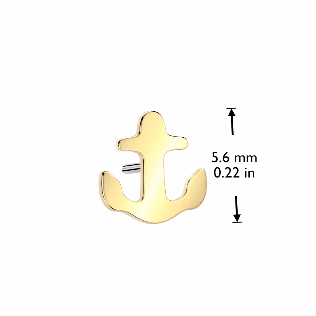 Threadless topp i titanium - Ankare