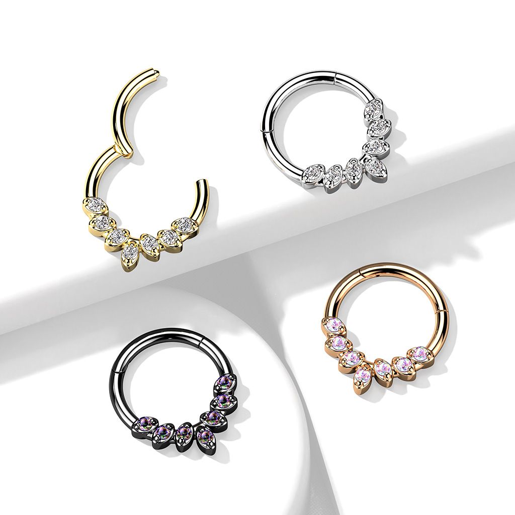 Segmentring i titanium med gångjärn och 7st prong-set CZ i fronten