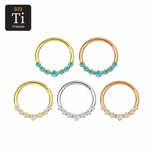 Segmentring 1.2mm i titanium med gångjärn och CZ crystals