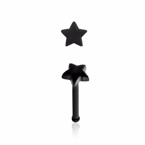 Näspin "nose bone" akrylplast med 3mm stjärna