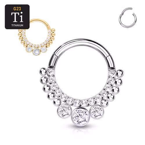Segmentring i titanium med gångjärn 1.2mm med frontad CZ linje och 3 runda CZ