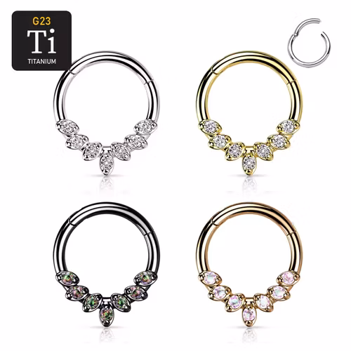 Segmentring i titanium med gångjärn och 7st prong-set CZ i fronten