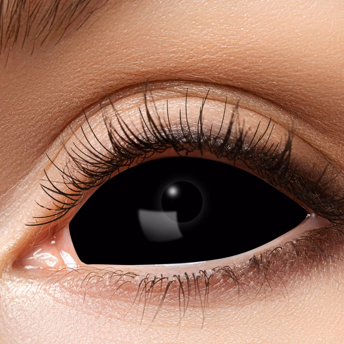 Lins Sclera Sabretooth Black årslins