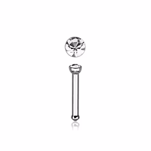 Nässmycke "Nose Bone" 1mm med 2mm klar crystal