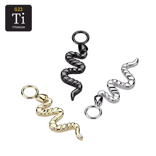 Hänge i titanium - orm