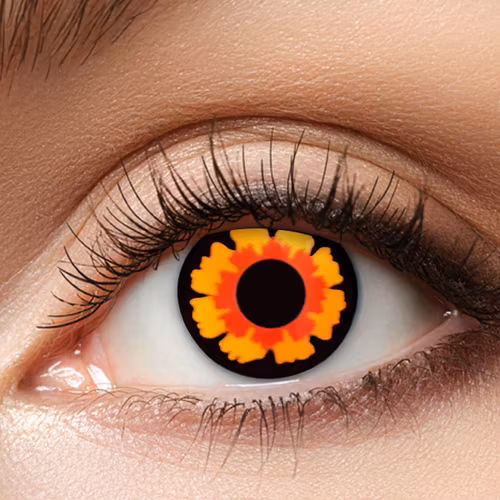 Lins Crazy Voulturi årslins