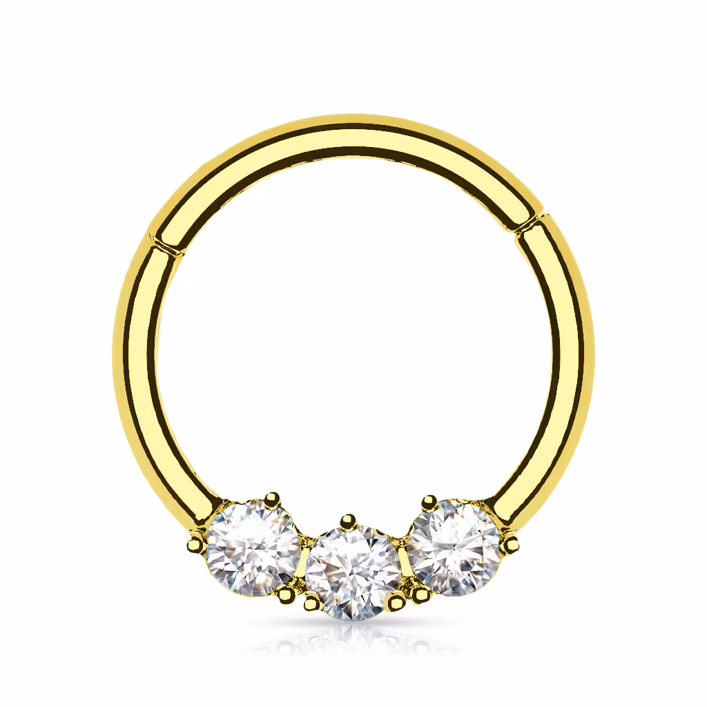 Segmentring i titanium - 1.2mm med gångjärn och 3st cubic zirconia