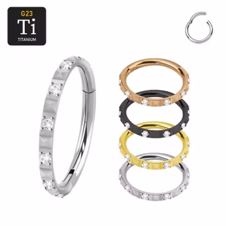 Segmentring 1.2mm i titanium med gångjärn och pyramidslipad front mellan klar cubic zirconia