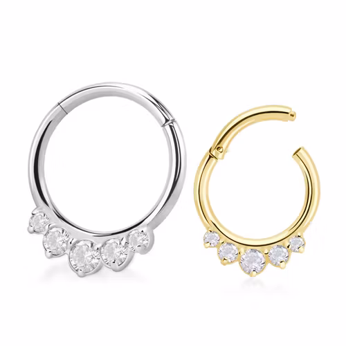 Segmentring i kirurgiskt stål med 5st cubic zirconia
