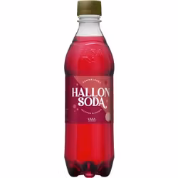 Vasa Bryggeri Hallonsoda 150cl 12st