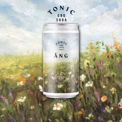 GBG Soda Äng 25cl 24st