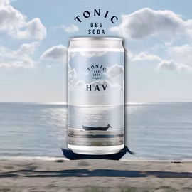 GBG Soda Hav 25cl 24st